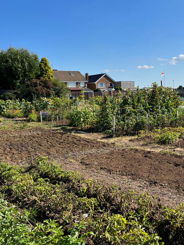 Hillstown Allotments