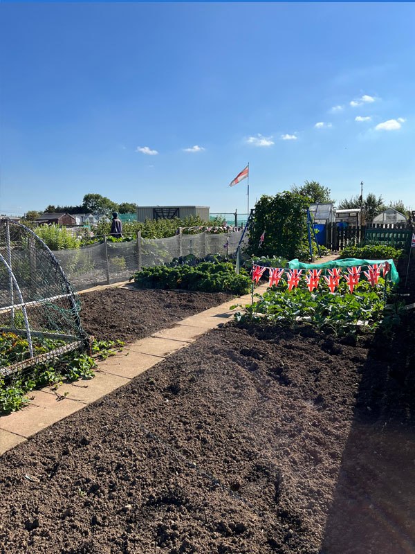 Hillstown Allotments