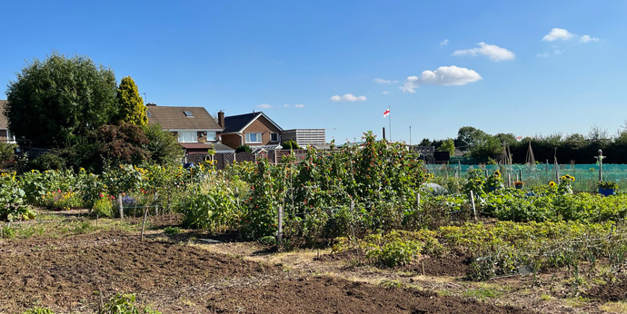 Hillstown Allotments
