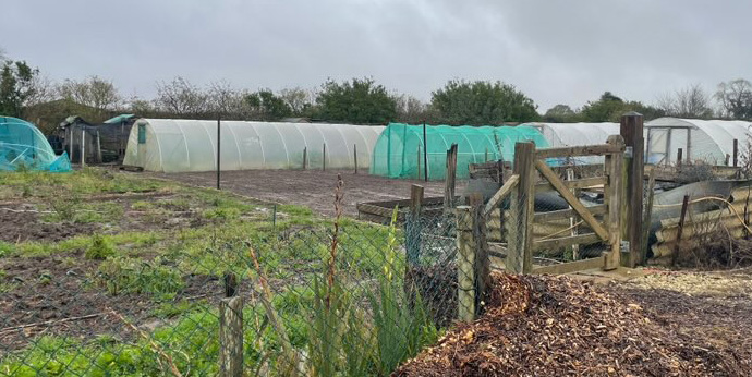 Palterton Allotments