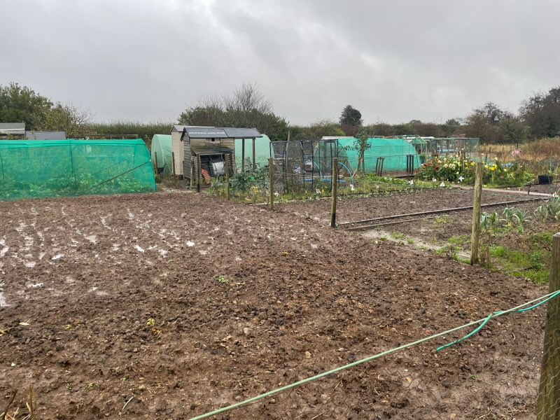 Palterton Allotments