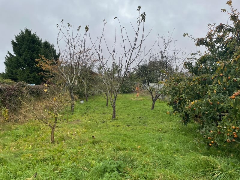 Palterton Allotments