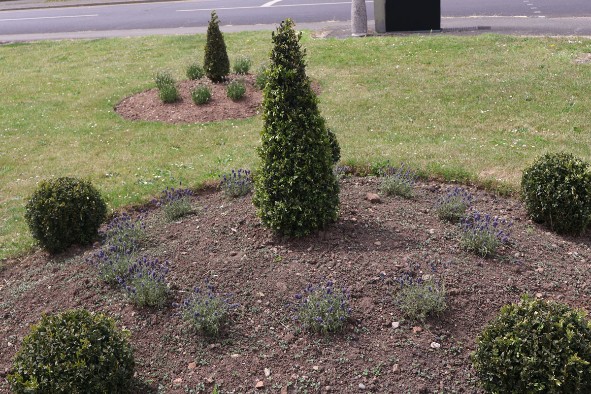 Hillstown FLower Beds