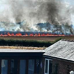 Allotments Fire Photo
